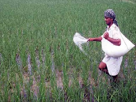 news story on herbal fertilizer